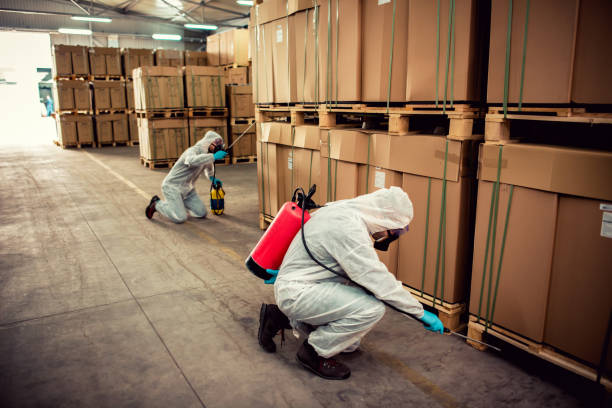 Best Cockroach Control Services  in West Lawn, PA