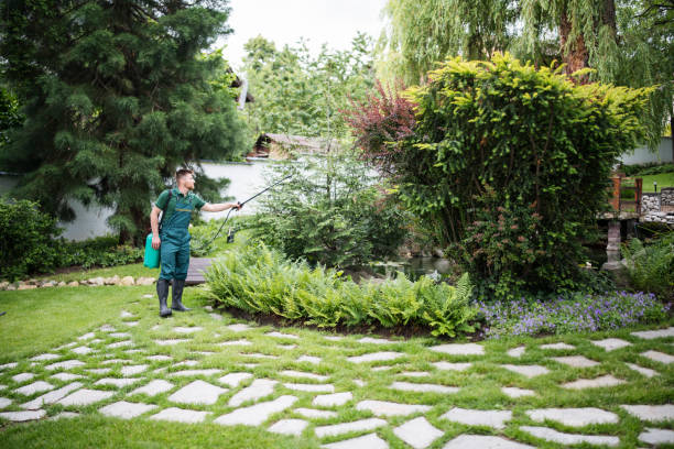 Bird Control in West Lawn, PA